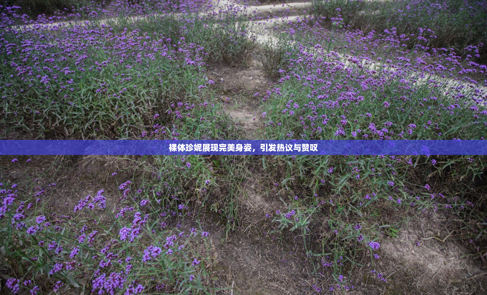 裸体珍妮展现完美身姿，引发热议与赞叹