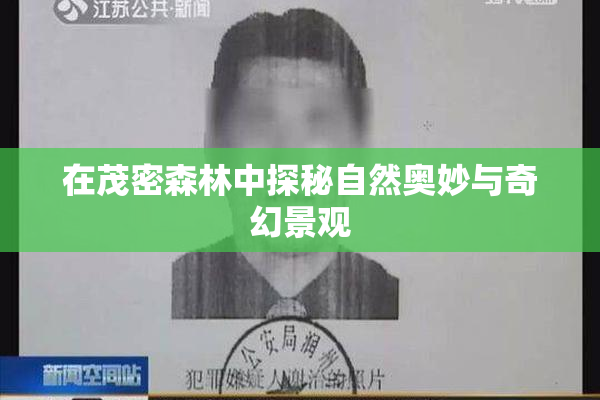 在茂密森林中探秘自然奥妙与奇幻景观