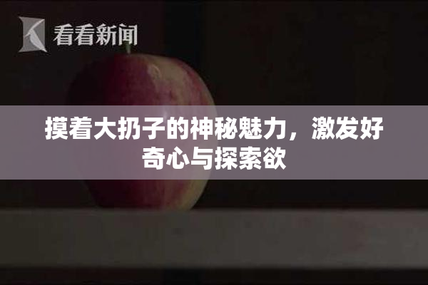 摸着大扔子的神秘魅力，激发好奇心与探索欲