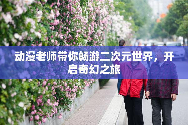 动漫老师带你畅游二次元世界，开启奇幻之旅