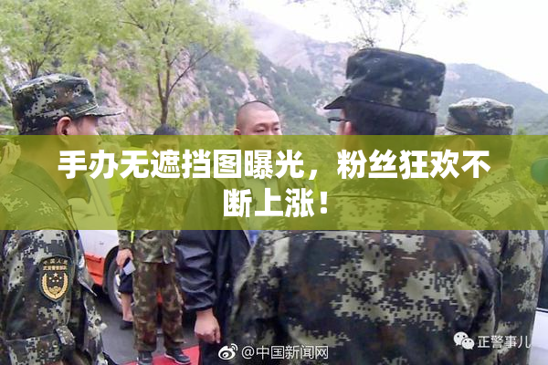 手办无遮挡图曝光，粉丝狂欢不断上涨！
