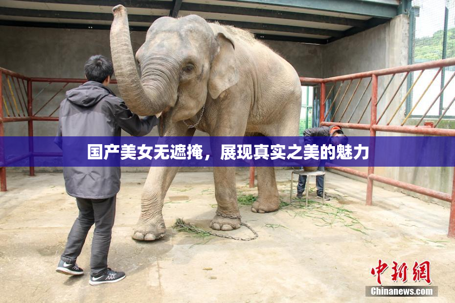 国产美女无遮掩，展现真实之美的魅力