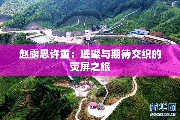 赵露思许重：璀璨与期待交织的荧屏之旅