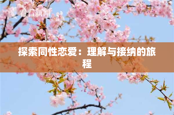探索同性恋爱：理解与接纳的旅程