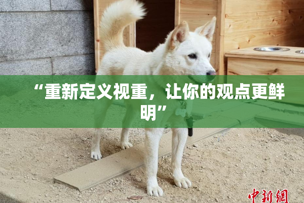 “重新定义视重，让你的观点更鲜明”