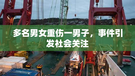 多名男女重伤一男子，事件引发社会关注