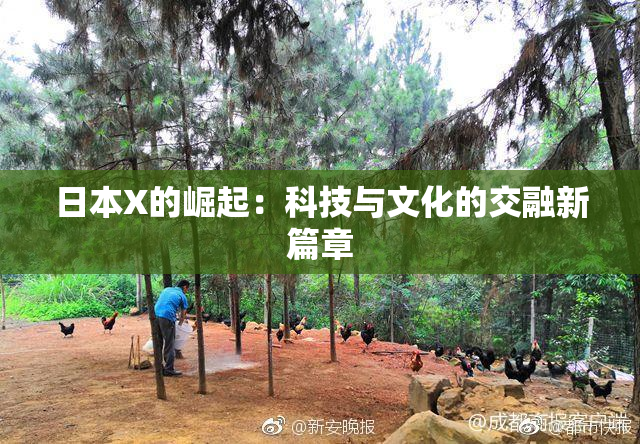 日本X的崛起：科技与文化的交融新篇章