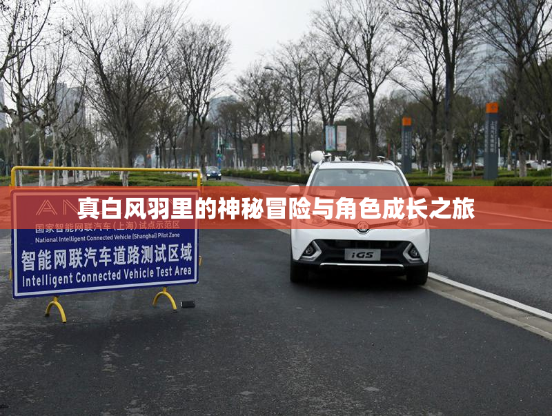 真白风羽里的神秘冒险与角色成长之旅