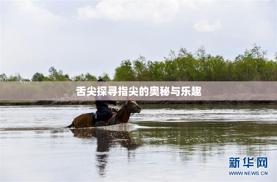 舌尖探寻指尖的奥秘与乐趣