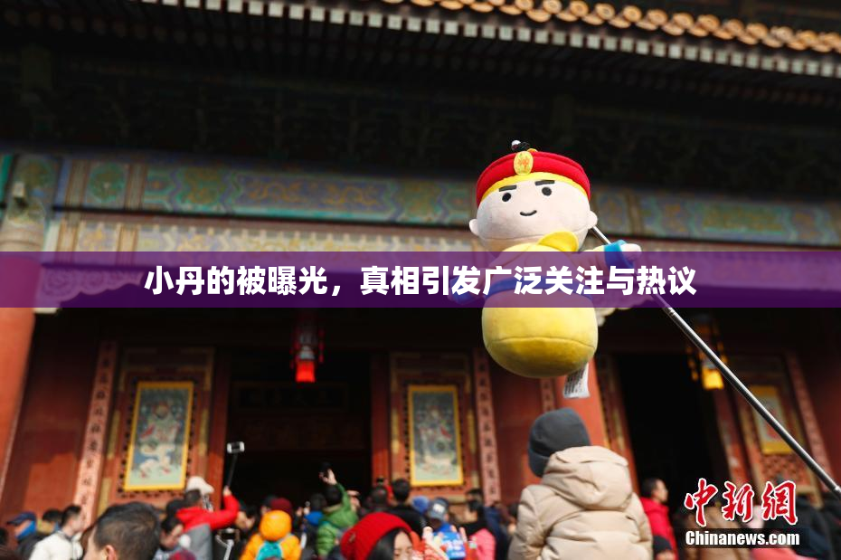 小丹的被曝光，真相引发广泛关注与热议