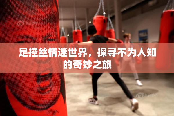 足控丝情迷世界，探寻不为人知的奇妙之旅