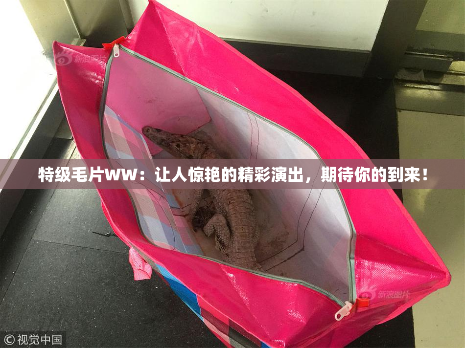 特级毛片WW：让人惊艳的精彩演出，期待你的到来！