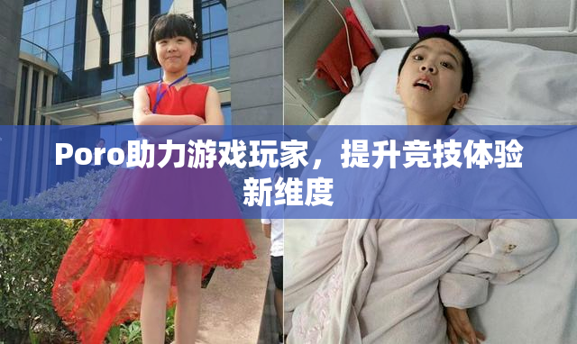 Poro助力游戏玩家，提升竞技体验新维度