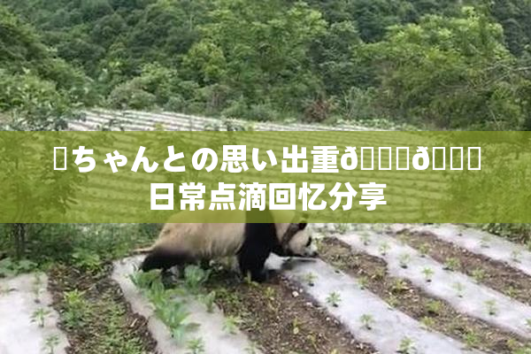 姉ちゃんとの思い出重🍑🌃日常点滴回忆分享