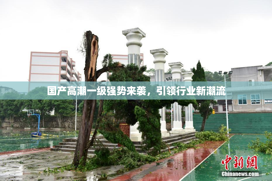 国产高潮一级强势来袭，引领行业新潮流