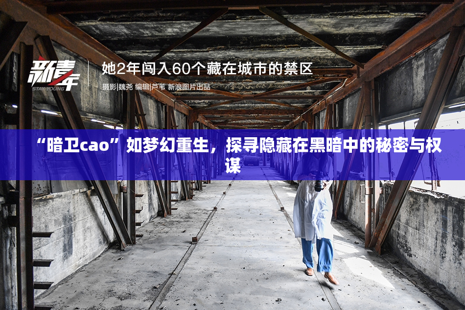 “暗卫cao”如梦幻重生，探寻隐藏在黑暗中的秘密与权谋