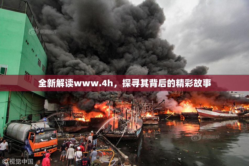 全新解读www.4h，探寻其背后的精彩故事