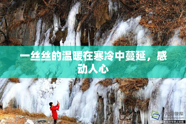 一丝丝的温暖在寒冷中蔓延，感动人心