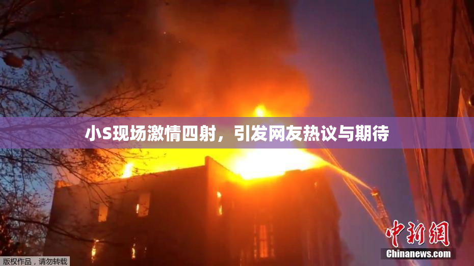 小S现场激情四射，引发网友热议与期待