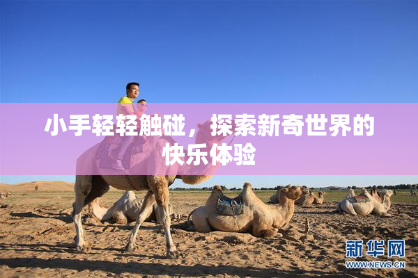 小手轻轻触碰，探索新奇世界的快乐体验