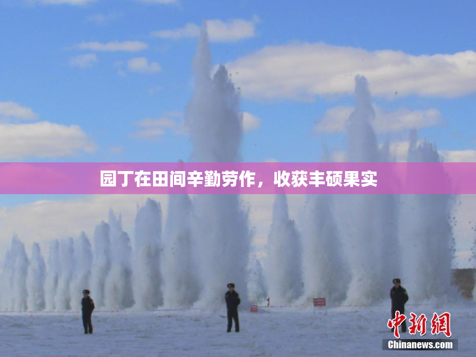 园丁在田间辛勤劳作，收获丰硕果实