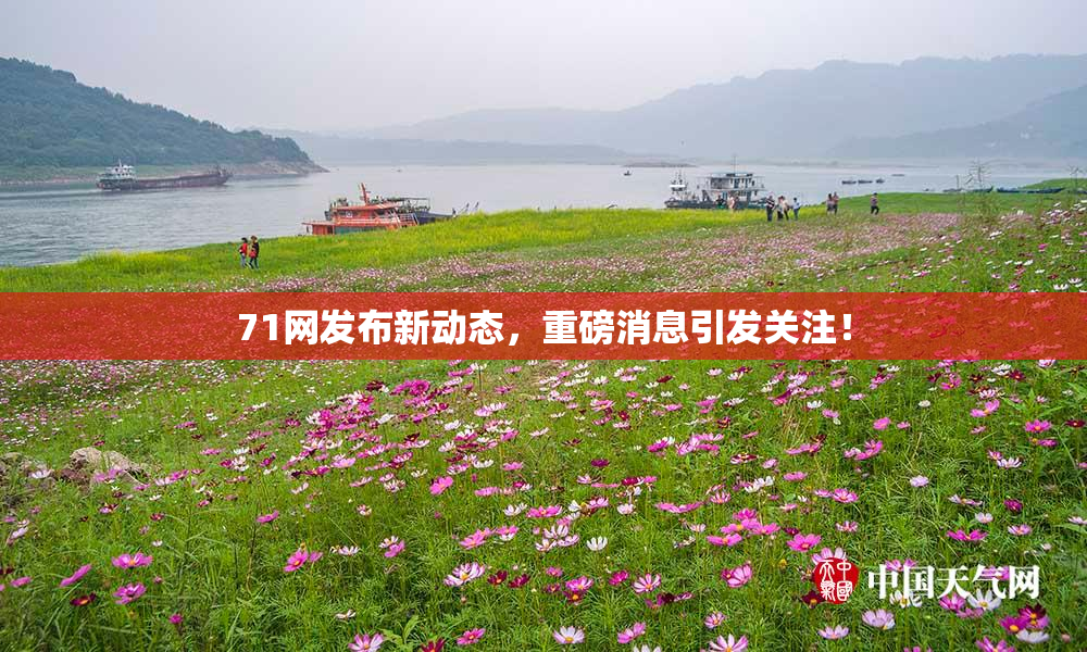 71网发布新动态，重磅消息引发关注！
