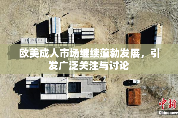 欧美成人市场继续蓬勃发展，引发广泛关注与讨论