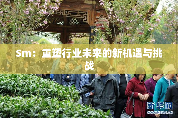 Sm：重塑行业未来的新机遇与挑战