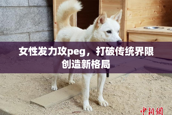 女性发力攻peg，打破传统界限创造新格局