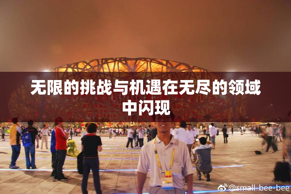 无限的挑战与机遇在无尽的领域中闪现