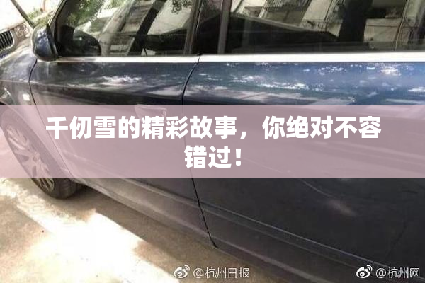 千仞雪的精彩故事，你绝对不容错过！