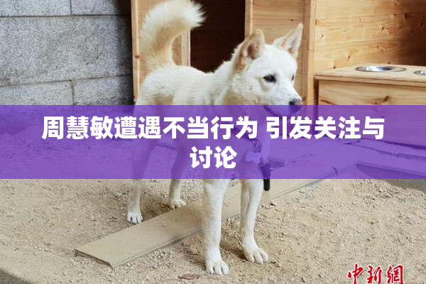周慧敏遭遇不当行为 引发关注与讨论