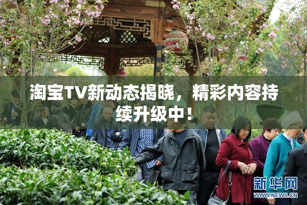 淘宝TV新动态揭晓，精彩内容持续升级中！