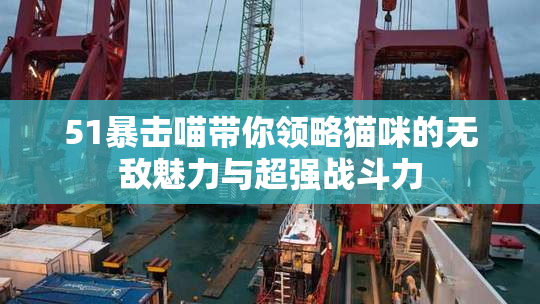 51暴击喵带你领略猫咪的无敌魅力与超强战斗力
