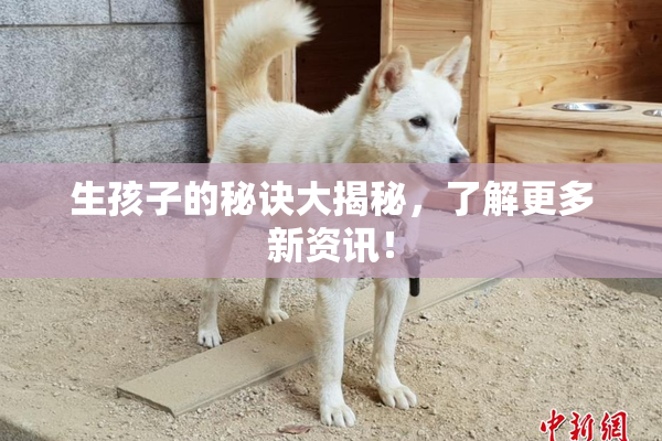 生孩子的秘诀大揭秘，了解更多新资讯！