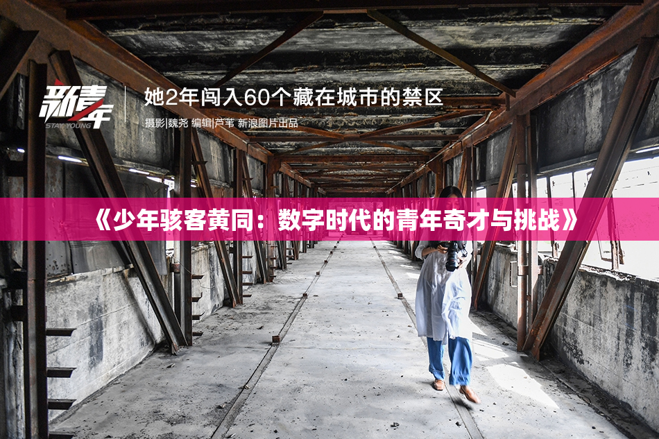 《少年骇客黄同：数字时代的青年奇才与挑战》