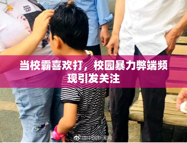 当校霸喜欢打，校园暴力弊端频现引发关注