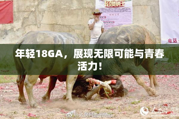 年轻18GA，展现无限可能与青春活力！