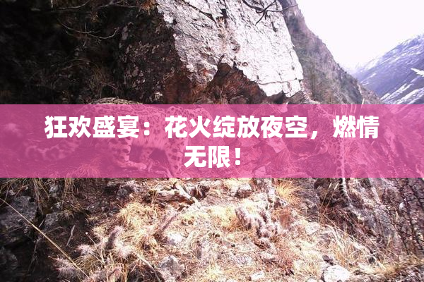 狂欢盛宴：花火绽放夜空，燃情无限！