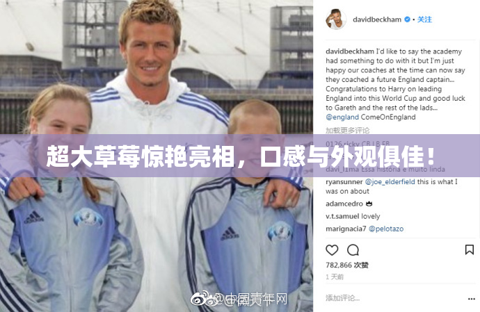 超大草莓惊艳亮相，口感与外观俱佳！