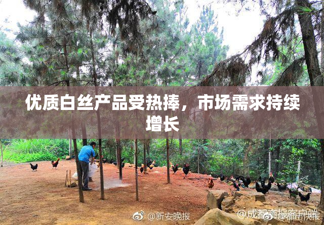 优质白丝产品受热捧，市场需求持续增长