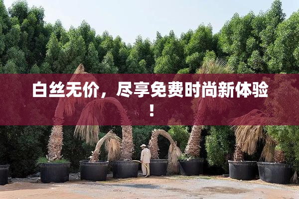 白丝无价，尽享免费时尚新体验！