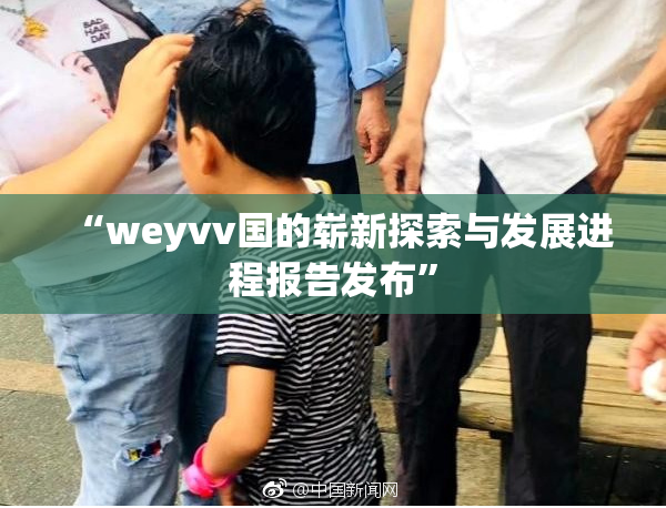 “weyvv国的崭新探索与发展进程报告发布”