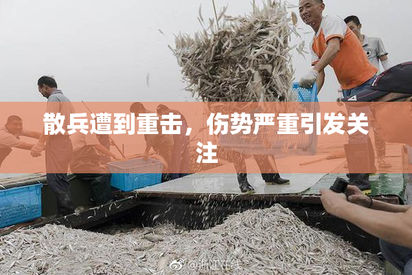 散兵遭到重击，伤势严重引发关注