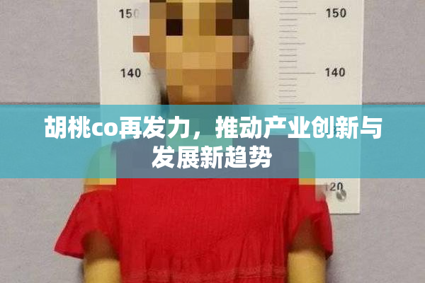 胡桃co再发力，推动产业创新与发展新趋势