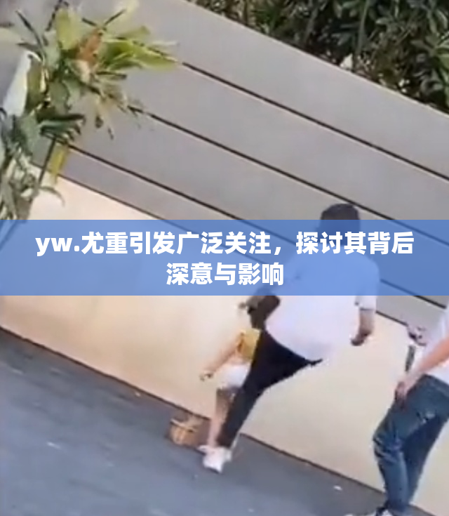 yw.尤重引发广泛关注，探讨其背后深意与影响