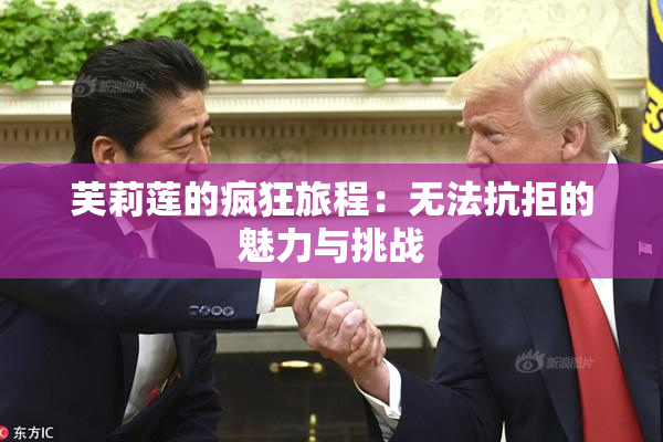 芙莉莲的疯狂旅程：无法抗拒的魅力与挑战