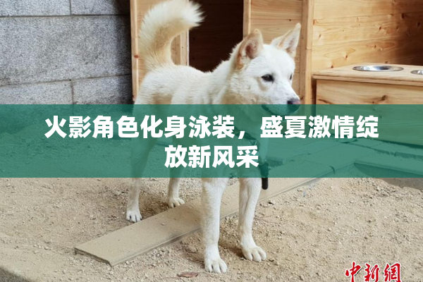 火影角色化身泳装，盛夏激情绽放新风采