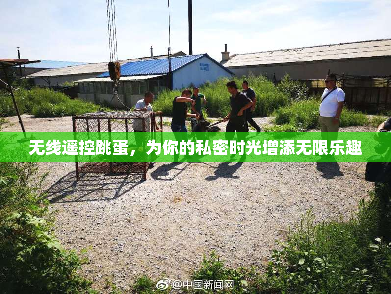 无线遥控跳蛋，为你的私密时光增添无限乐趣