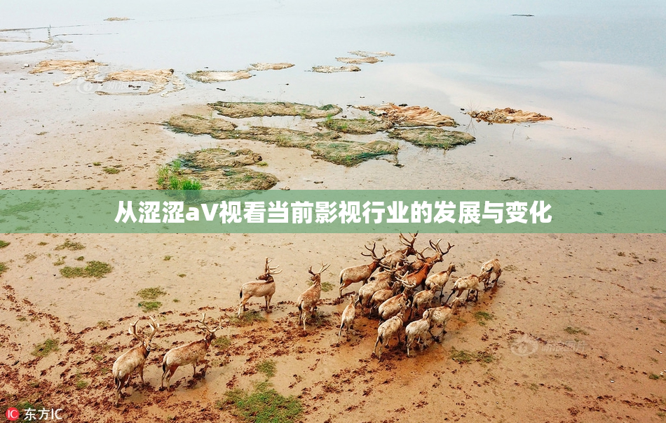 从涩涩aV视看当前影视行业的发展与变化